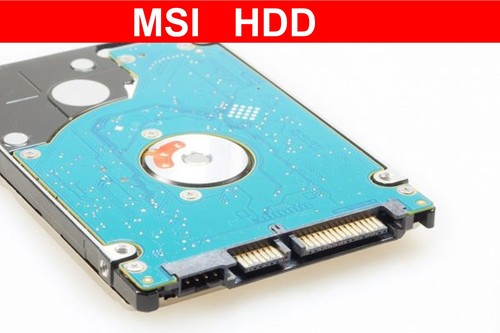 Msi ex600 16362 320 gb - ex600,